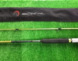 月下美人76-ＳＶＦ熟、13セルテート2510Ｒ-ＰＥなど入荷♪（高槻店）